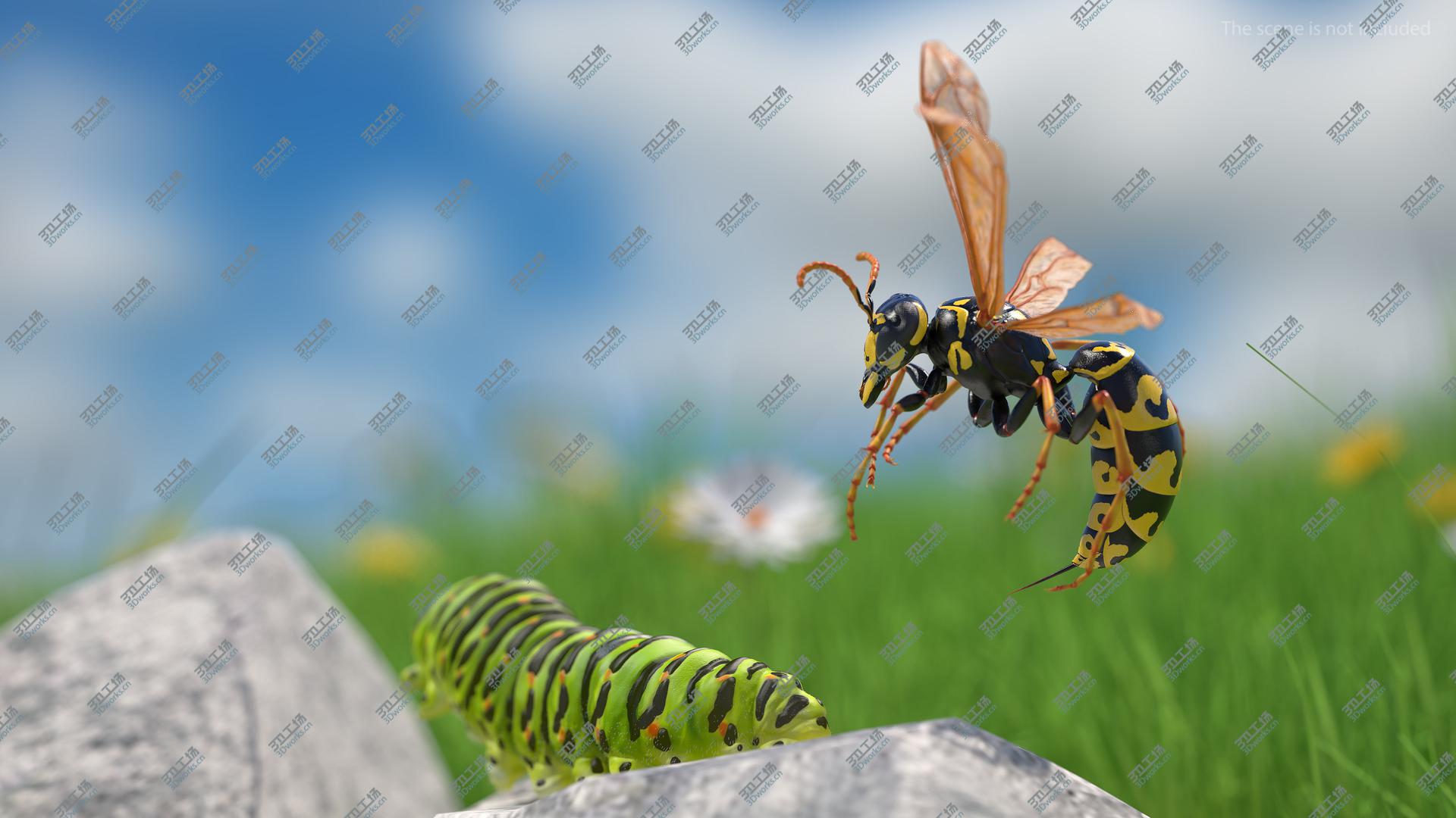 images/goods_img/202104093/Wasp Attacking Pose 3D model/5.jpg